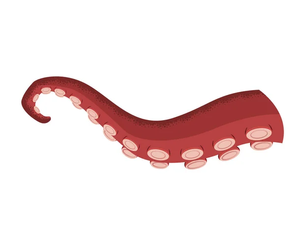 Tentáculo de pulpo sobre fondo blanco. Mar calamar vector icono de dibujos animados. Espeluznante brazo de monstruo marino. Animales submarinos — Vector de stock