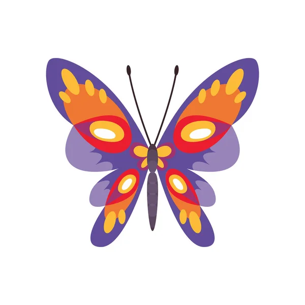 Mariposa de color exótico. Alas de polilla dibujadas a mano o insecto. Animal tropical de dibujos animados. Icono de vector aislado — Archivo Imágenes Vectoriales