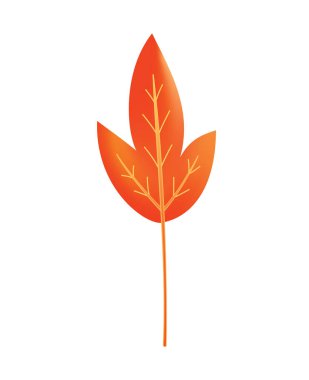 Sonbahar tatili. Suluboya desenli sembol, vektör çizimi. İzole tasarım element ağaç yaprağı. Mevsimlik tebrik kartı tasarımına git