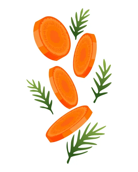 胡萝卜。橙根与绿色胡萝卜顶部。蔬菜病媒草图。新鲜的卡通蔬菜,背景为白色.色彩斑斓的胡萝卜 — 图库矢量图片