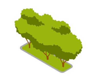 Isometric 3d vektör parkı elemanı. Ağaç veya çalı. Yeşil çevre manzara tasarımı çizimi. Doğa elementinin izole edilmiş simgesi