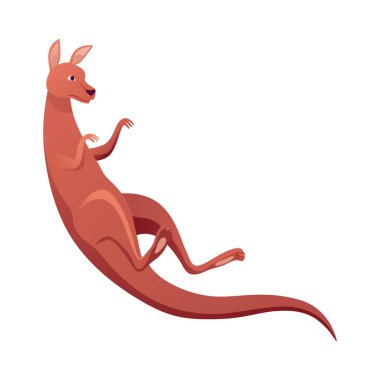 Kanguru karakteri pozu. Ayakta kesesi olan yetişkin bir kanguru. Avustralya faunası ve vahşi yaşamının beyaz arka planda izole edilmiş vektör düz çizgi film hayvanı..