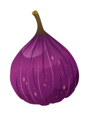 İnce Cilt Vektörlü İncirli Meyve Bütünlüğü.
