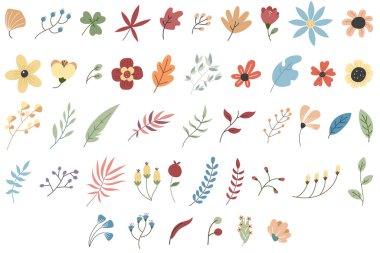 Element tasarımı için yumuşak renkli botanik düz tasarım. Ayarla bir