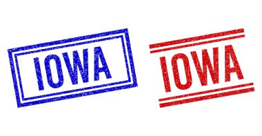 Çift Çizgili Grunge Desenli IOWA Mührü