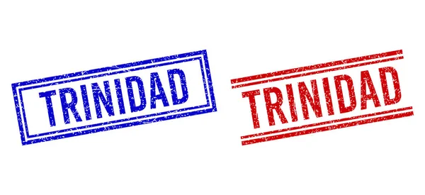 Gescheurde getextureerde TRINIDAD Seal met dubbele lijnen — Stockvector