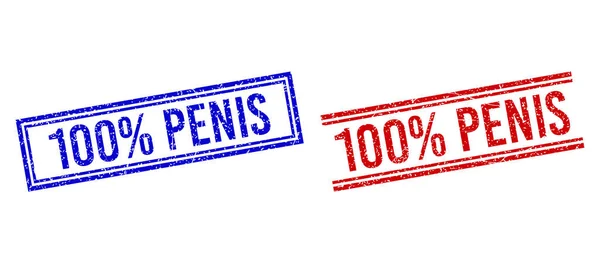 Distress Textured 100 percent PENIS Seal with Double Lines — Vector de stock