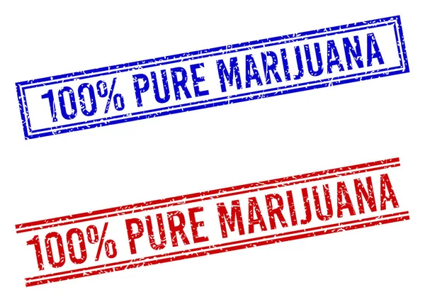 Tehlike Dokuları% 100 Pure MARIJUANA Çift Çizgili Mühür — Stok Vektör