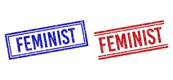Selos FEMINIST texturizados Grunge com linhas duplas —  Vetores de Stock
