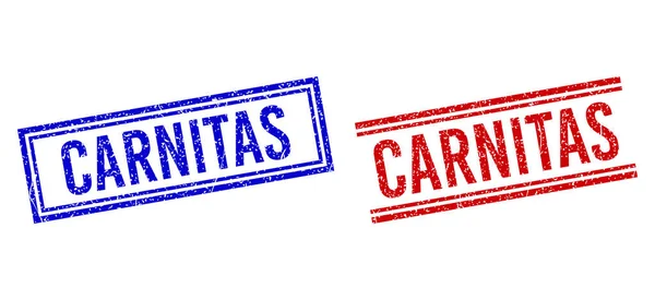 Perangko CARNITAS Bertekstur Distress dengan Garis Ganda - Stok Vektor