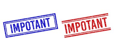 Çift Çizgili Kalıplı IMPOTANT Mührü