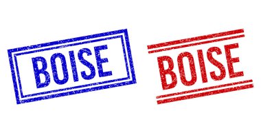 Scratched Textured BOISE Seal with Double Lines