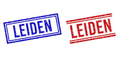 Grunge desenli çift çizgili Leid Damgaları