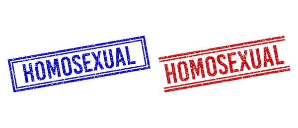 Timbre Distress Texturé HOMOSEXUAL Joints avec lignes doubles — Image vectorielle