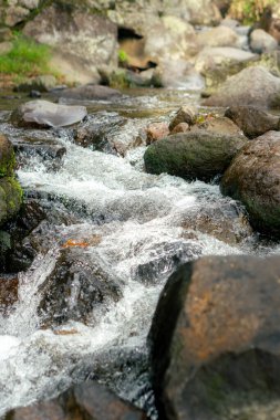 Suyun dokulu kayaların üzerinde tazelenmesi huzurlu bir yansıma ya da macera için sakin ve doğal bir ortam yaratıyor..
