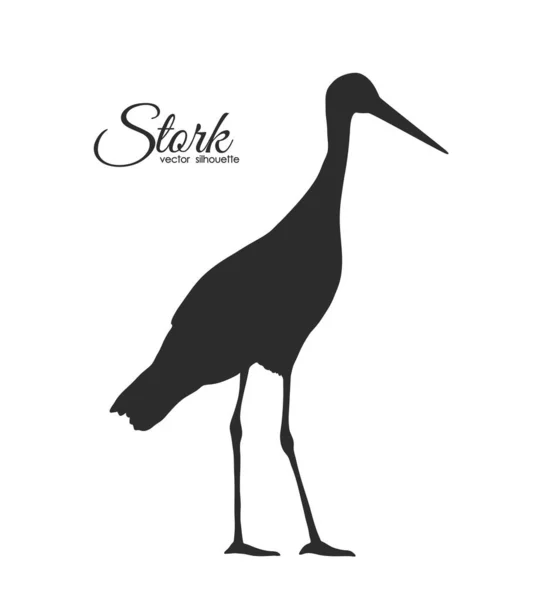 Vector Silhouette of Stork isolated on white background. — Stock Vector