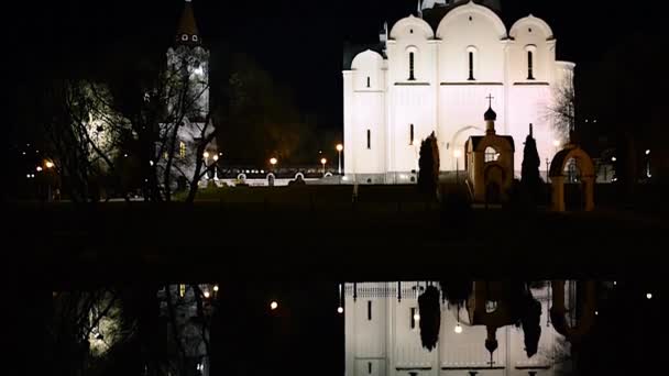 Bir su birikintisi üzerinde gece yaban ördeği — Stok video