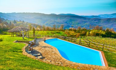 Bağ yakınındaki tepenin havuzda. Arezzo, Toscana