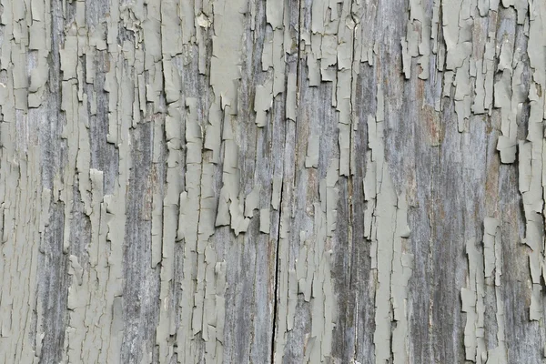 Panneau de particules de bois fond — Photo