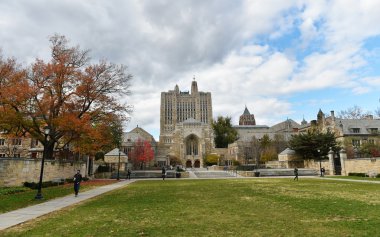 Yale Üniversitesi'nde Sterling Memorial kitaplığının görünümü