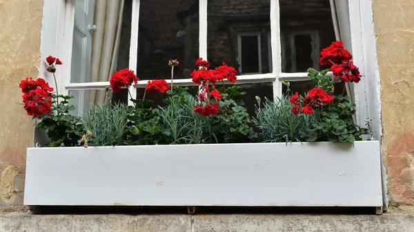 View of a Beautiful Window Flower Box