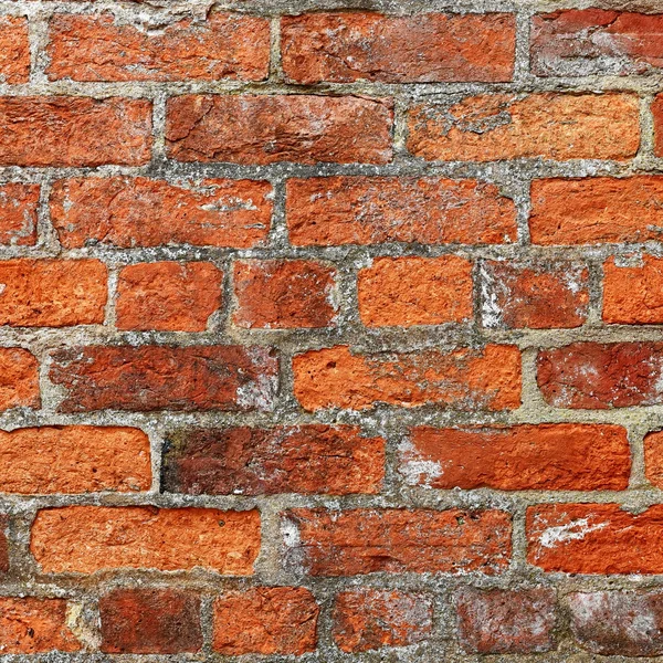 Brick wall, background — Stock Photo, Image