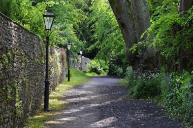  Yeşil ağaçlı yolda yapraklı Lane kaplı