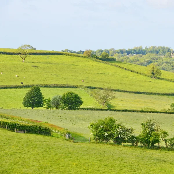 Scenic View of Green Fields in the Saint Catherine's Valley — Stock Photo, Image