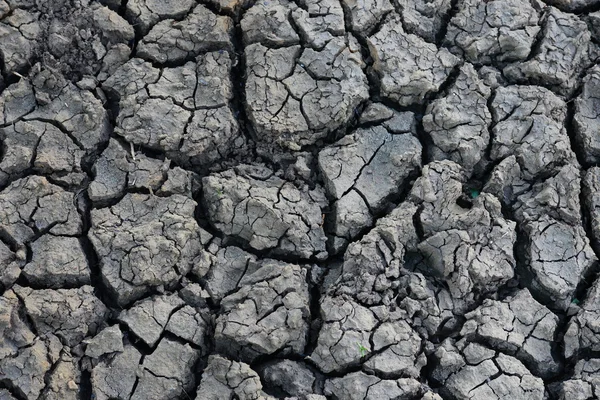 Terra seca nua — Fotografia de Stock