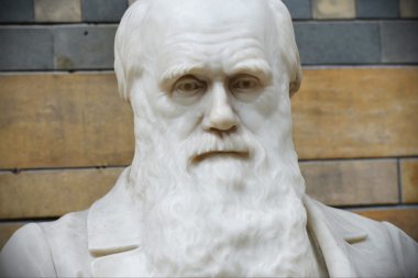 Charles Darwin 'in heykeli