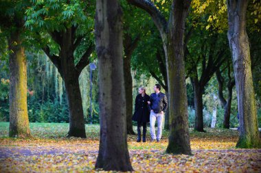 Trowbridge, İngiltere'de kamu parki