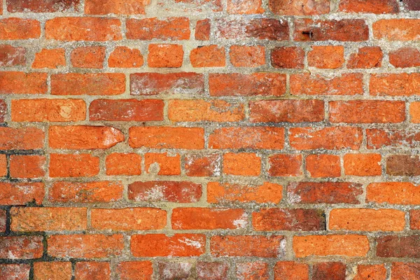 Brick Wall Background — Stock Photo, Image