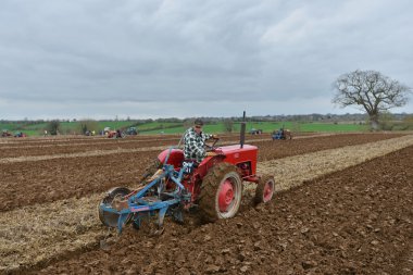 Bir traktör Saban bir alanda çeker. 