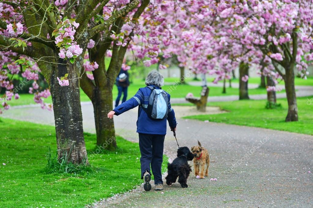 People Enjoy The Sunny Spring Weather Stock Photo 1000Words 108592620 people-enjoy-the-sunny-spring-weather-stock-photo-1000words-108592620