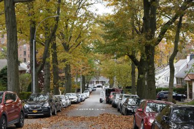 Sonbahar sokağındaki yol manzarası