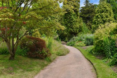 Yaz boyunca parkta yol. 