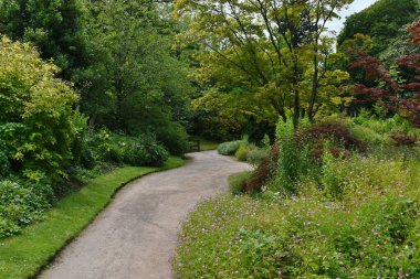 Yaz boyunca parkta yol. 