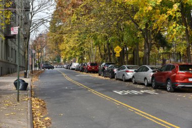 New York City, ABD - 12 Kasım 2018: Sonbahar renklerini ve park halindeki arabalarını gösteren yapraklı ağaçlar güneşli bir günde Queens 'teki Kew Gardens ilçesinde sokakta görüldü..