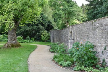 Ağaçlarla çevrili Country Road ve Taş Duvar