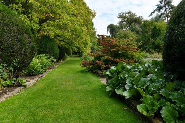 İngiliz Tarzı Peyzaj Bahçesinde Çiçekler Tarafından Lekelenmiş Yeşil Çimen Yolu Manzarası