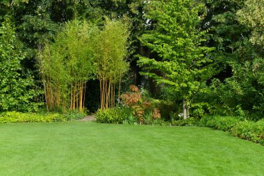 Yeşil çimenli ve ağaçlı bahçe