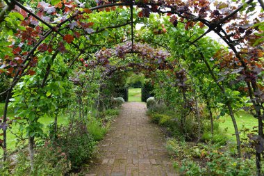 Yeşil Yapraklı Bahçe 'de, Archet Elma Ağacı Trellisi ile Kırmızı Tuğlalı Yol Güzel Manzarası