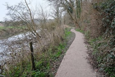 Bir nehir boyunca uzanan Sarmal Orman Yolu