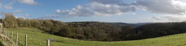 Panoramablick Auf Grüne Felder Wald Darüber Und Blauen Himmel Darüber — Stockfoto