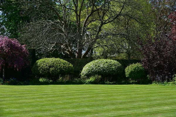 Schöner Garten Mit Grünen Bäumen Und Blühenden Blumen — Stockfoto