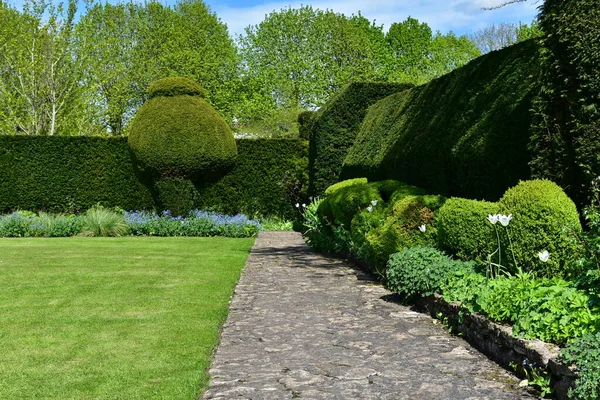 Bellissimo Giardino Con Alberi Verdi Fiori Fiore — Foto Stock