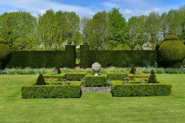 Beau Jardin Avec Arbres Verts Fleurs Fleuries — Photo