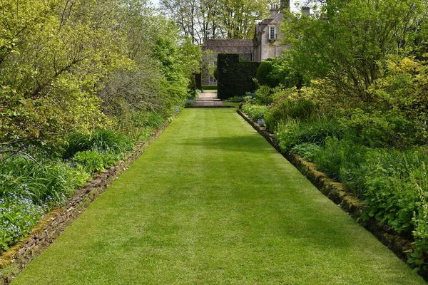 Pad Een Groen Park Groene Tuin Overdag — Stockfoto