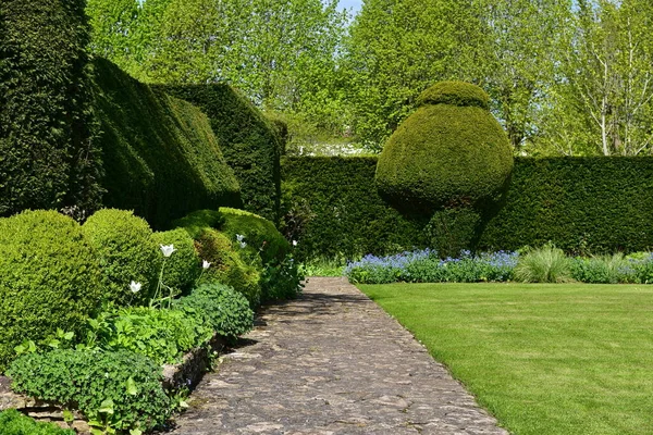 Bellissimo Giardino Con Alberi Verdi Fiori Fiore — Foto Stock