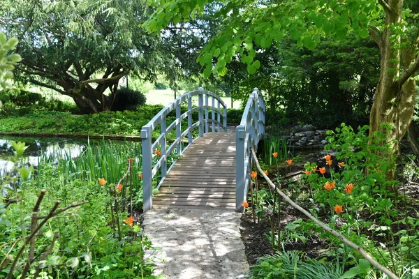 Holzbrücke Über Den Fluss Sommerpark — Stockfoto